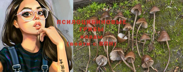 марихуана Белокуриха