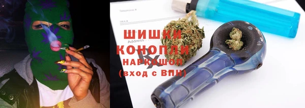прущие грибы Беломорск