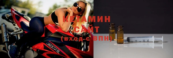 прущие грибы Беломорск