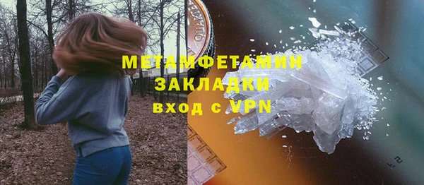 прущие грибы Беломорск