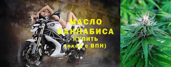 прущие грибы Беломорск