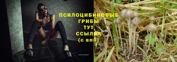 марихуана Белокуриха
