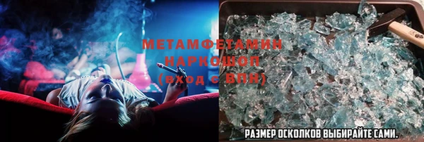 прущие грибы Беломорск