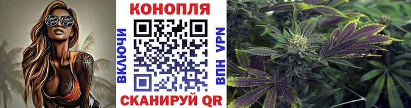 купить наркотики сайты  Выборг  Конопля план 
